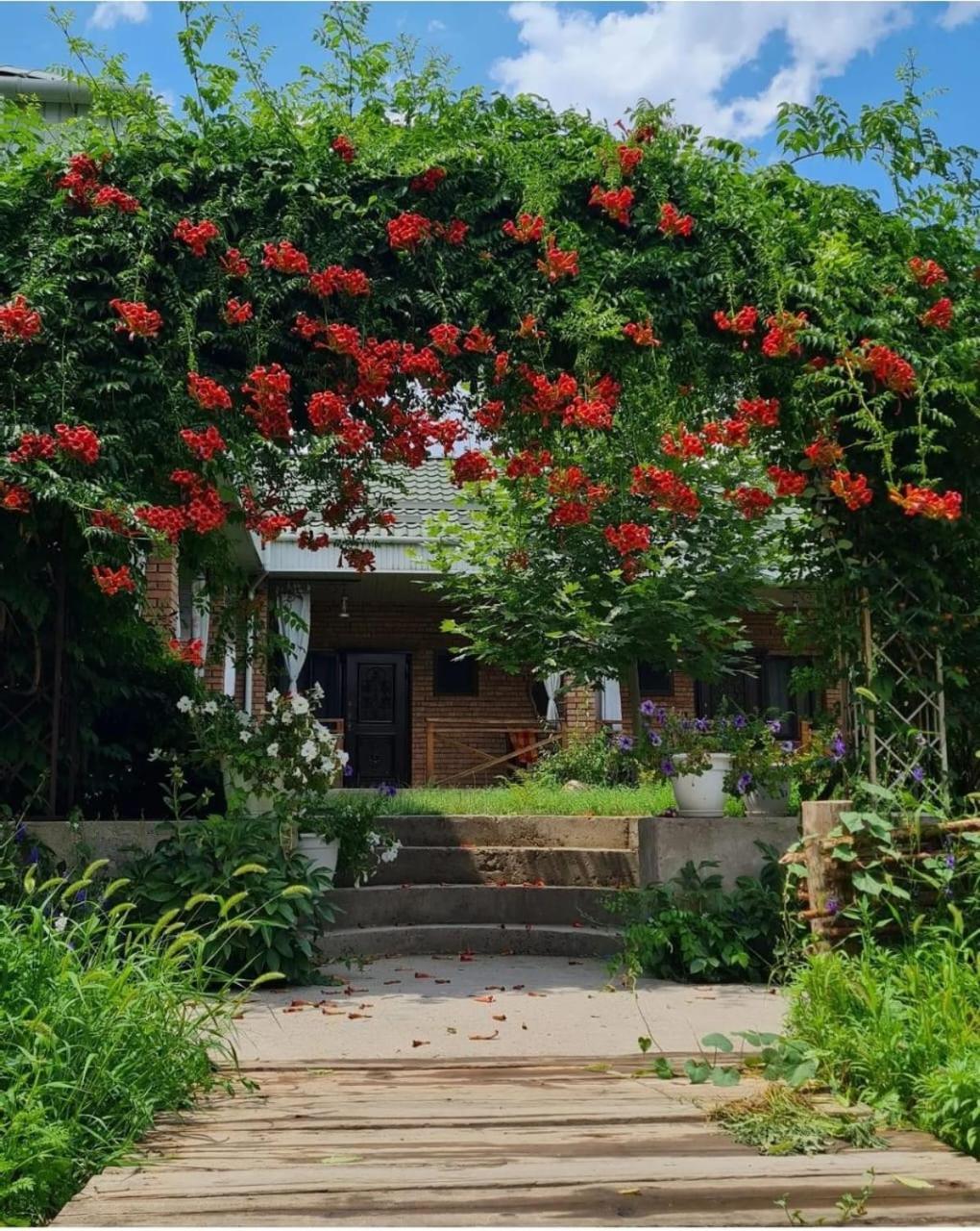 Arman Hotel Saryaghash Buitenkant foto